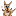 icon.png